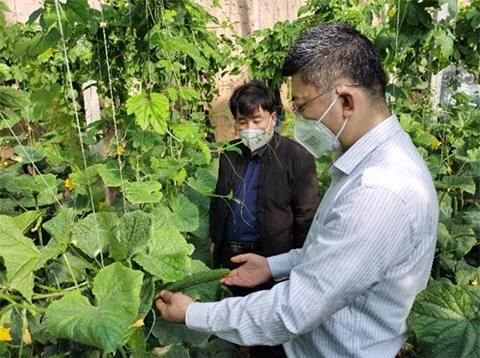 1582593309358417.jpg 微信图片_20200225091502.jpg