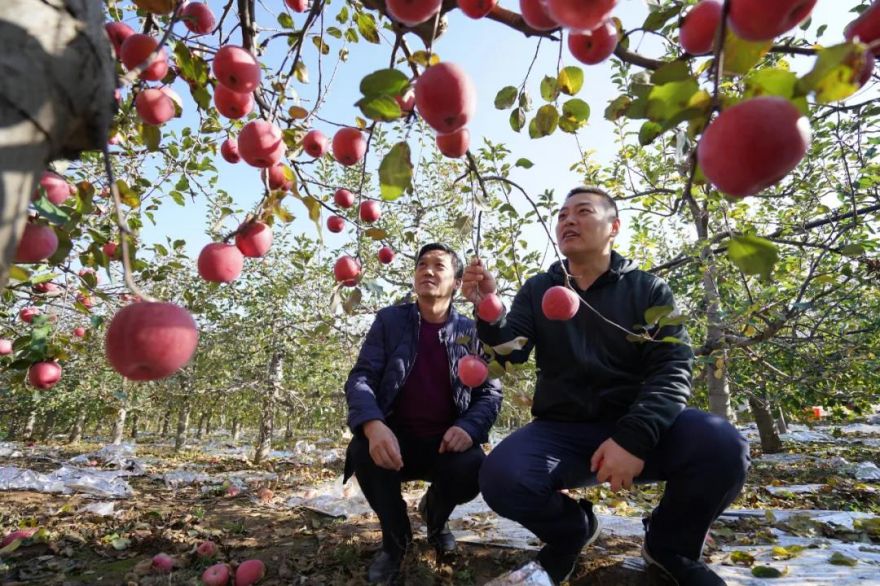 1589507002300843.jpg 1.jpg