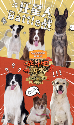 ��ս������Ȯ���ڱ�����˫Ӯ�Ҷ�ɷݳ�������������������