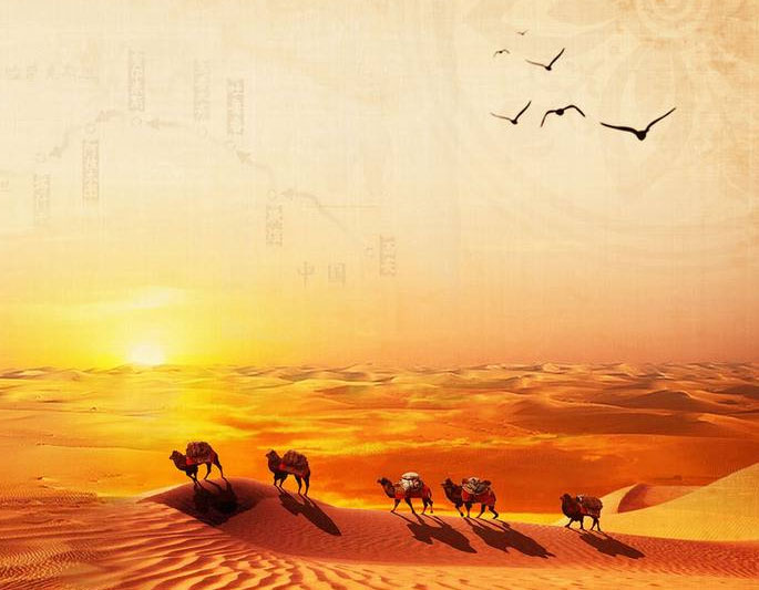 1542179687302924.jpg tp.jpg