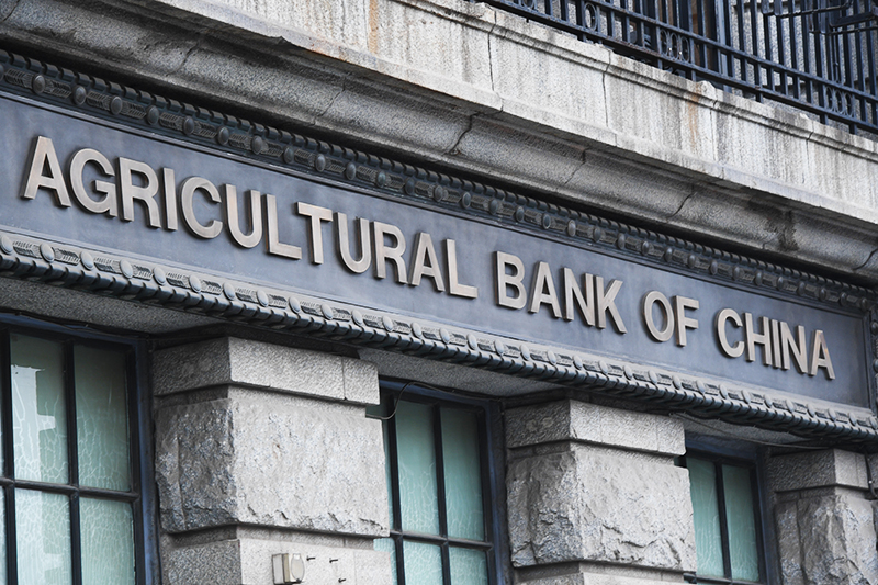 1576204719661449.jpg 2018年1月6日上海1-39.jpg