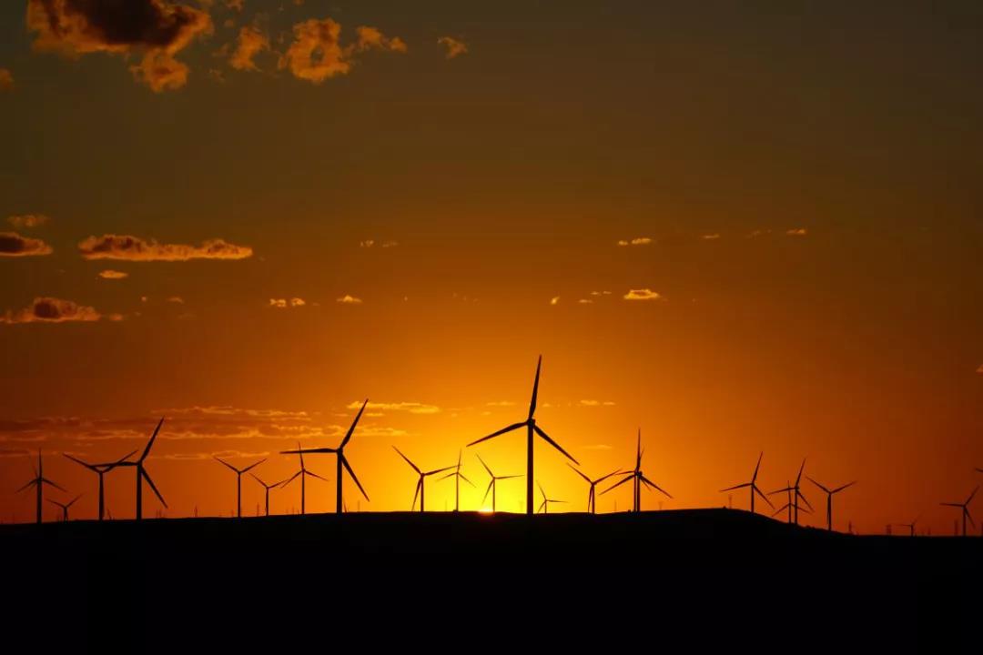 1595903488877069.jpg 2.jpg