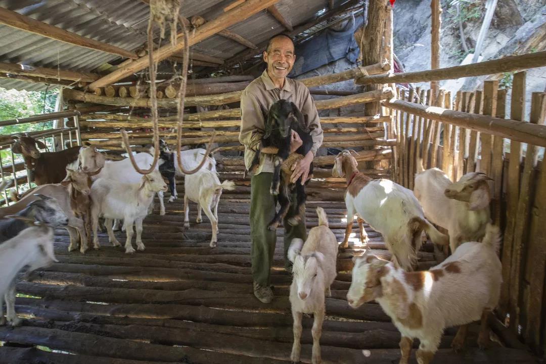 1595903505722916.jpg 3.jpg