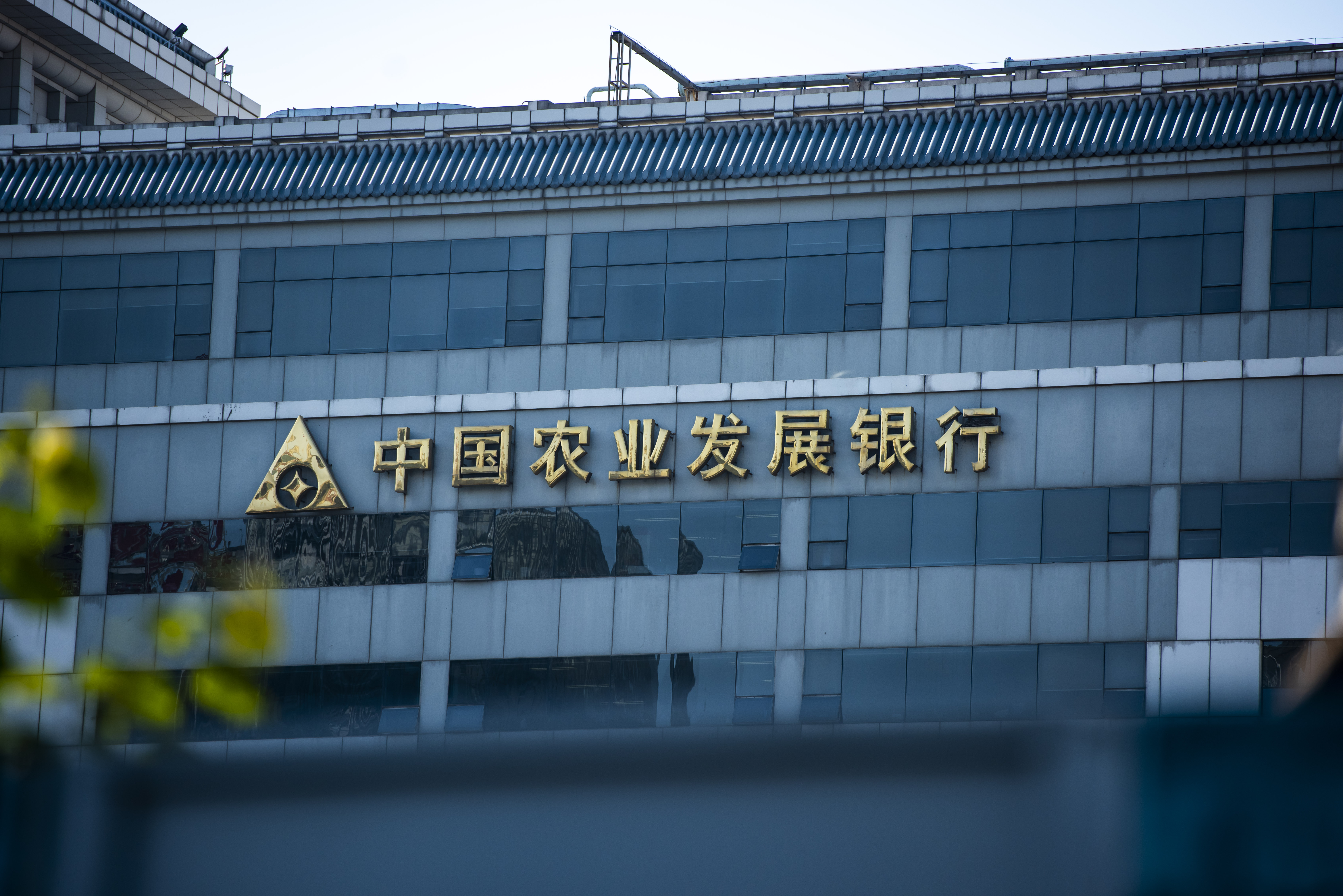 农发行 (6).JPG