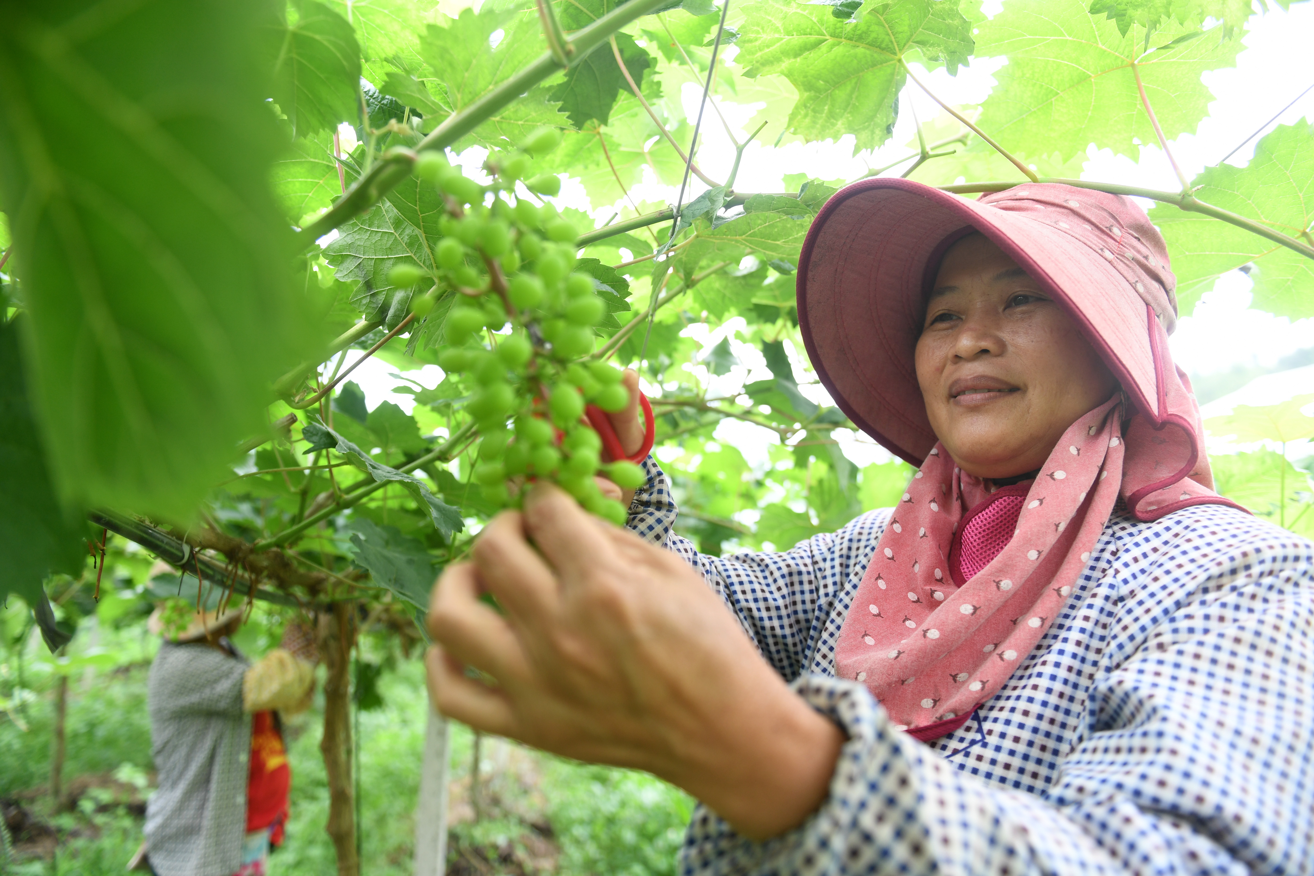 1622773294553854.jpg XxjpsgC007113_20210507_PEPFN0A001.JPG