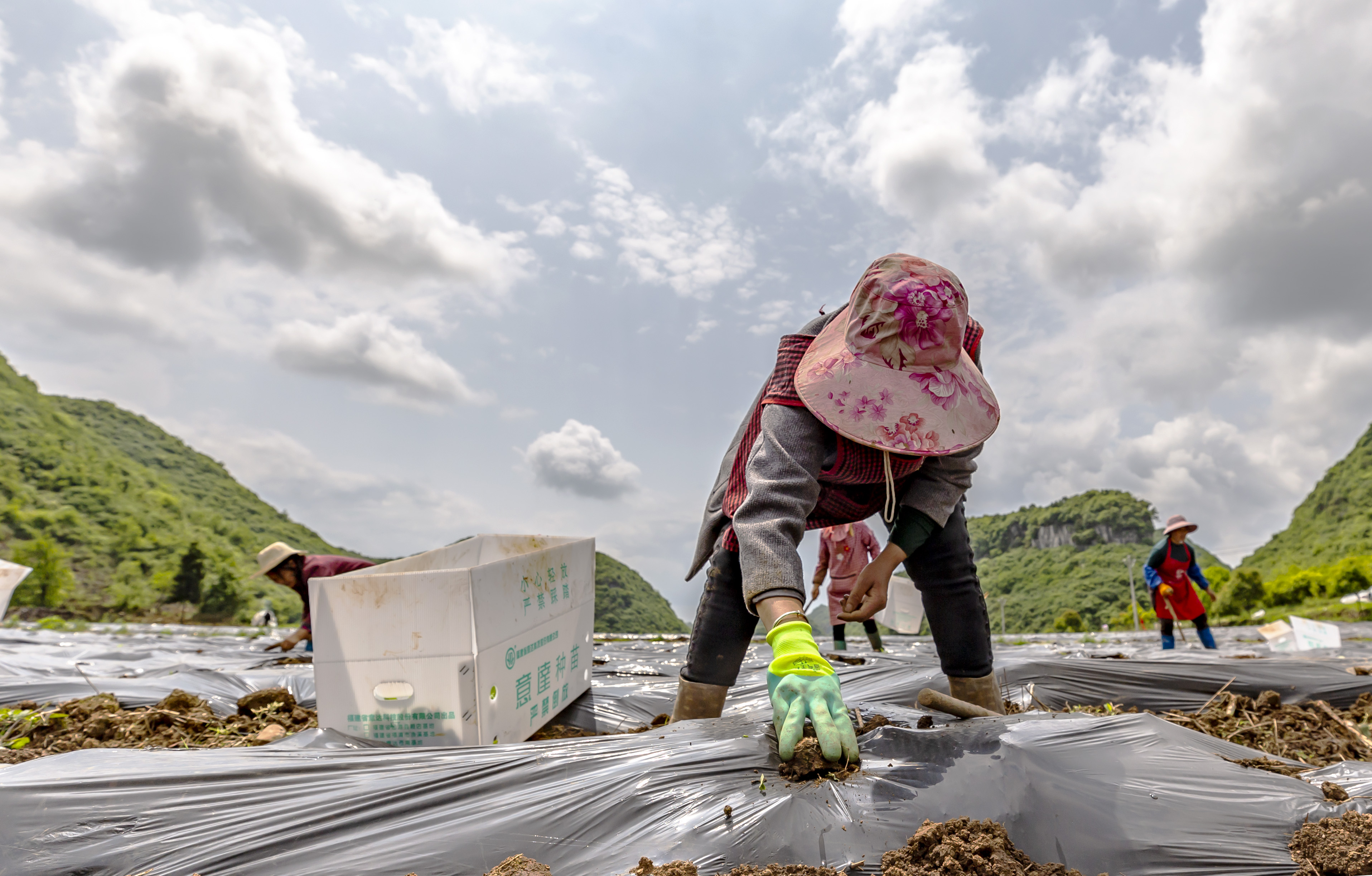 1622775660668915.jpg XxjpsgC007595_20210427_PEPFN0A001.JPG