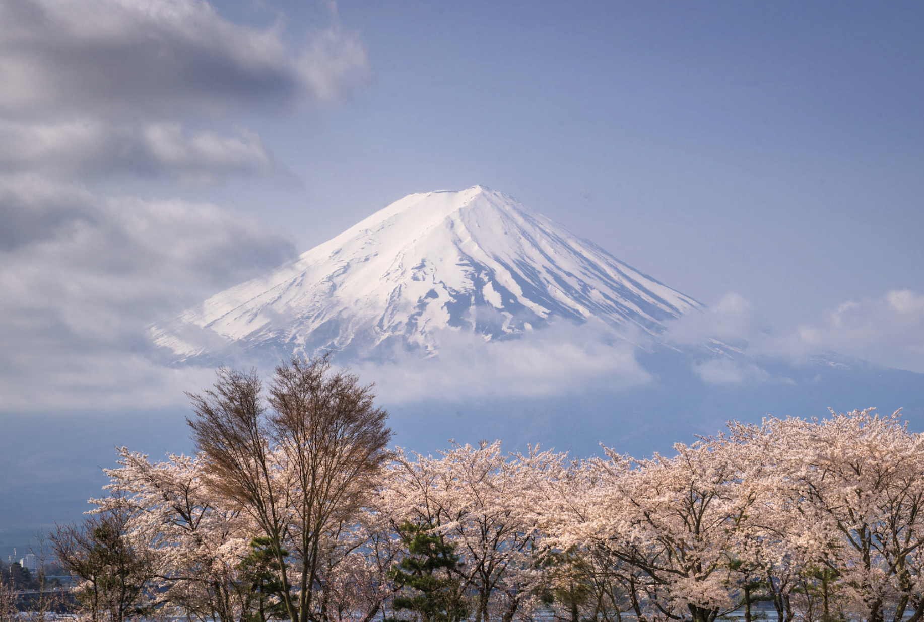 截屏2021-11-30 上午7.57.16.png