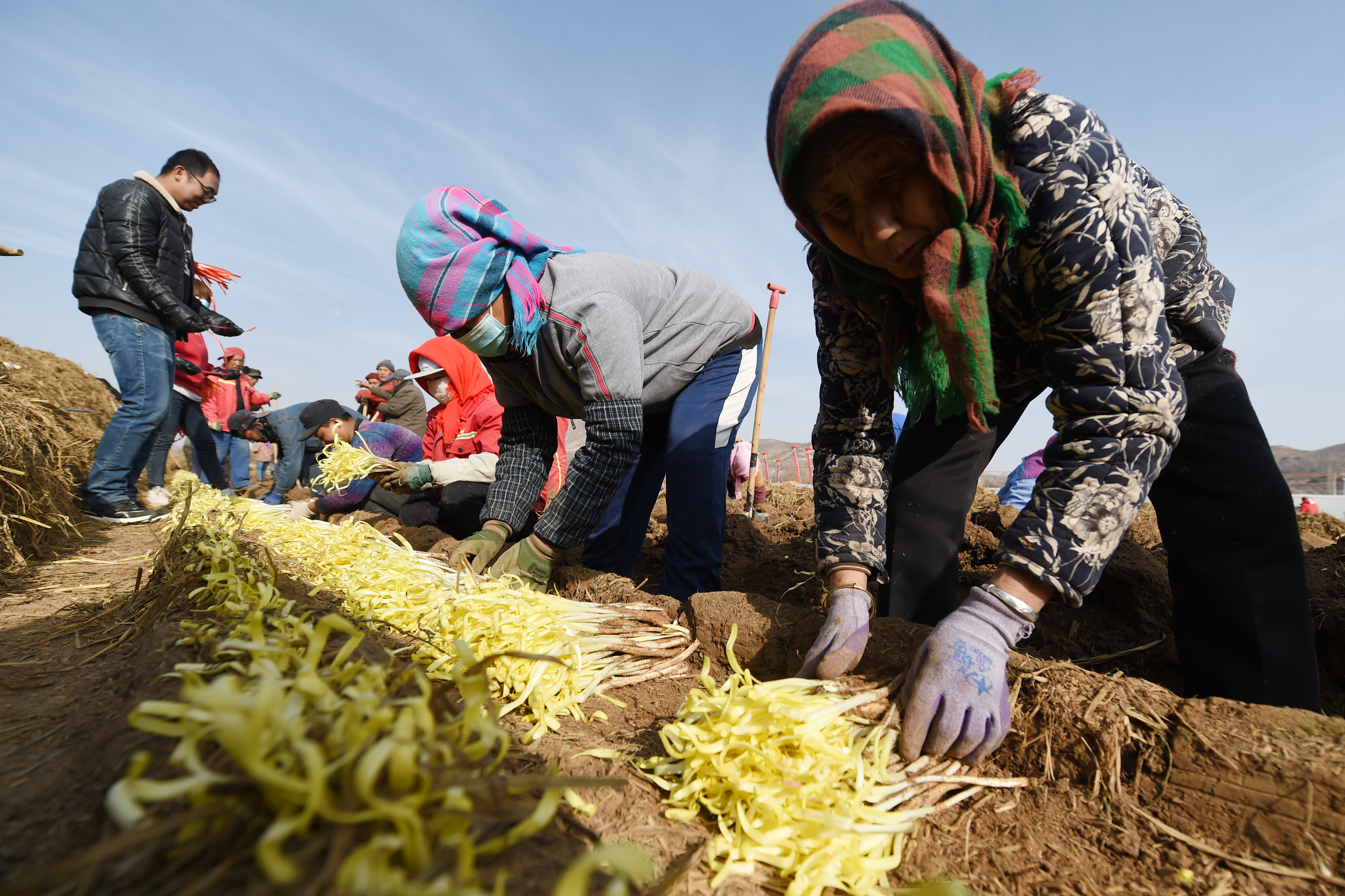 1639577247228450.jpg XxjpsgC007260_20211215_PEPFN0A001.JPG