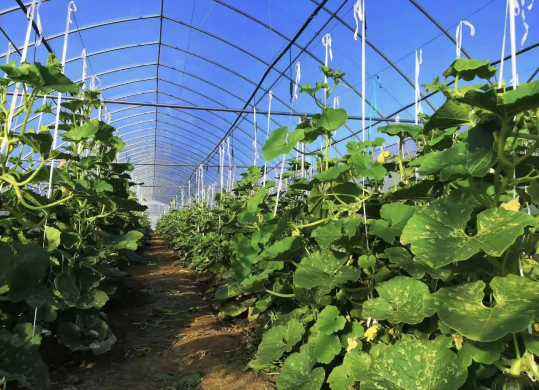 截屏2021-12-22 下午4.18.14.png