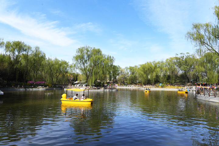 ↑2021年4月3日，游客在北京南宫五洲植物乐园划船。新华社记者 任超 摄