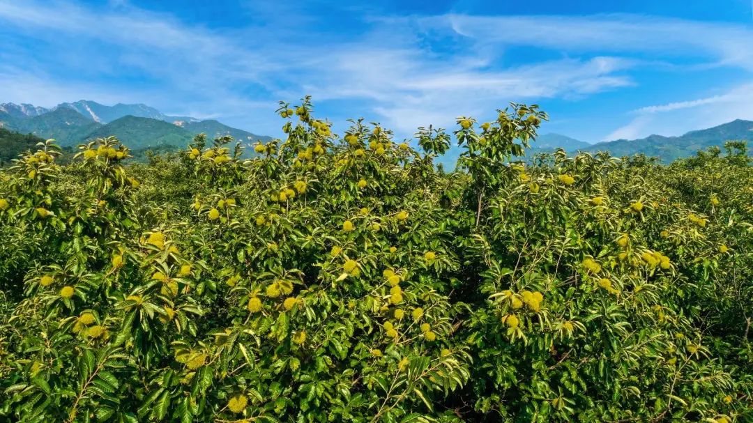 1648004539744232.jpg 2.jpg