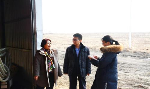 哈尔滨银行沈阳分行工作人员与朱大婶探讨融资方案