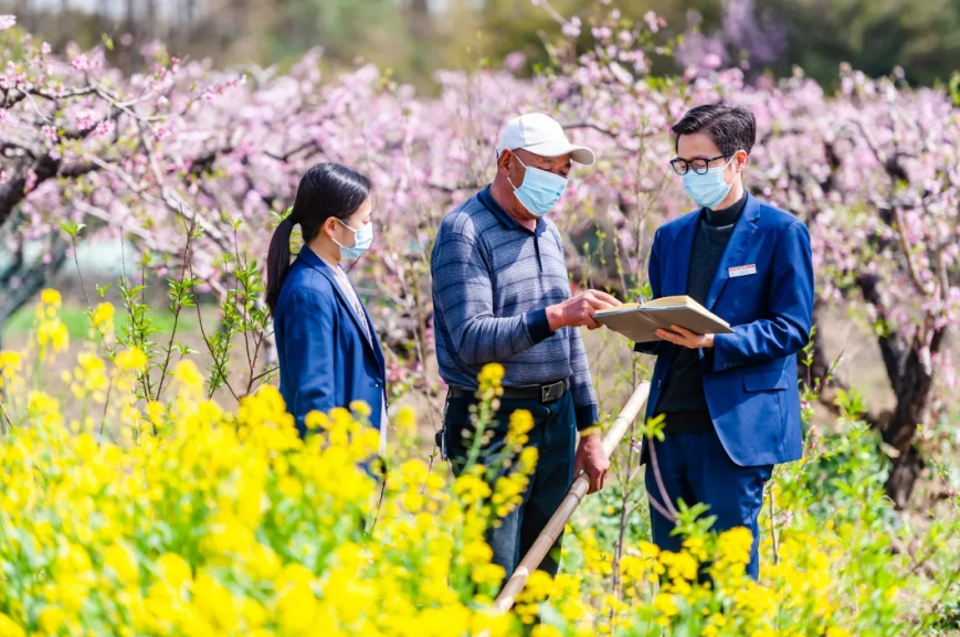 1652240257455042.png 1.png