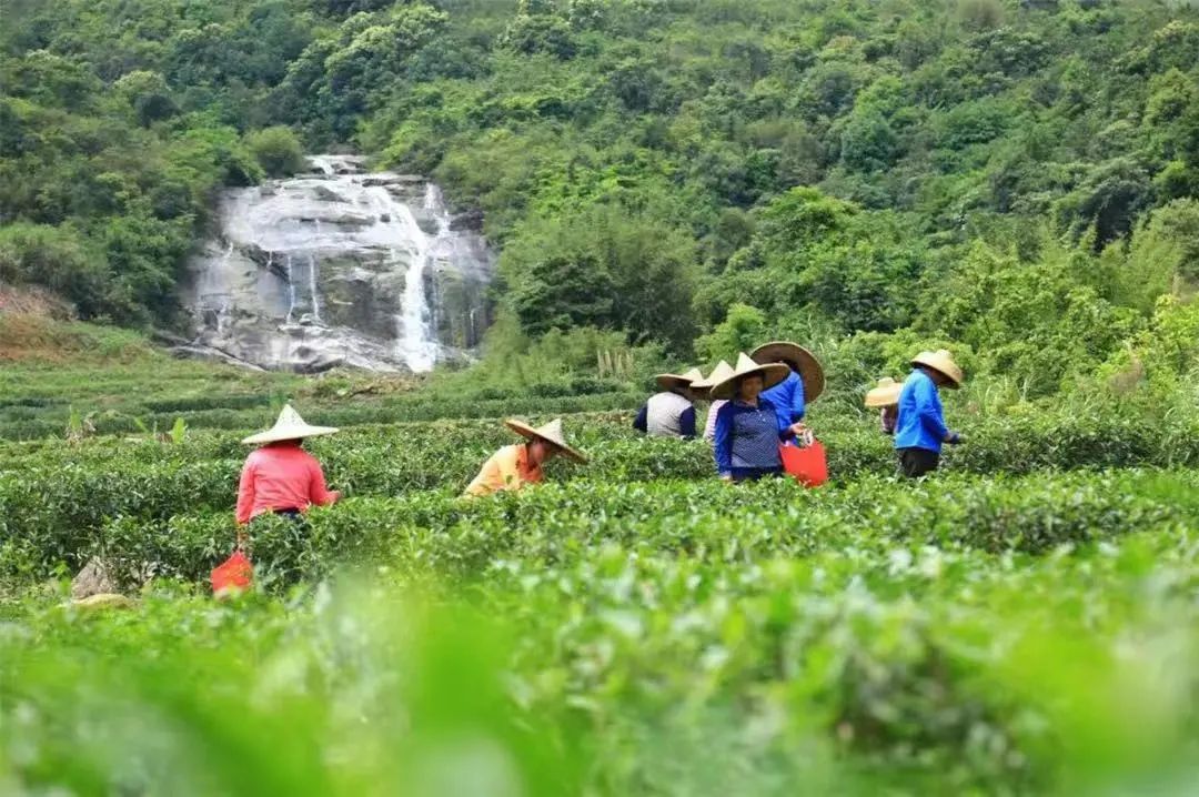 1652240283367081.jpg 4.jpg