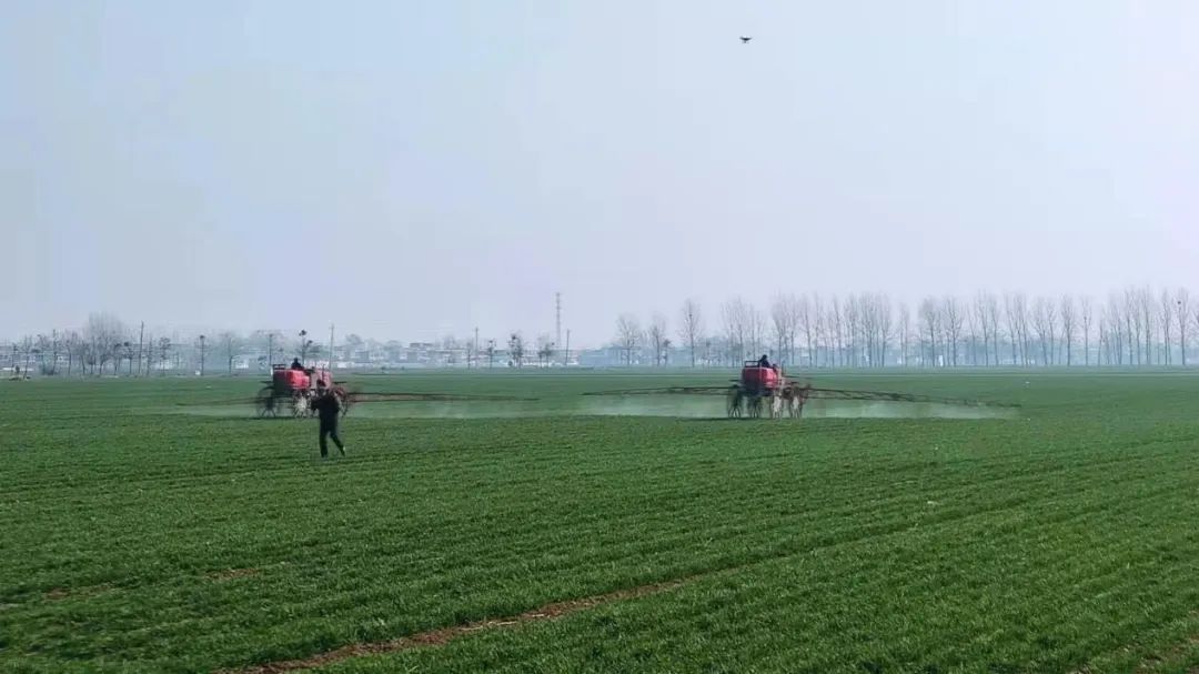 1652240291398546.jpg 5.jpg