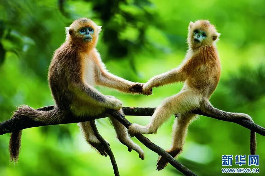 1658449697762402.jpeg 640-1.jpeg