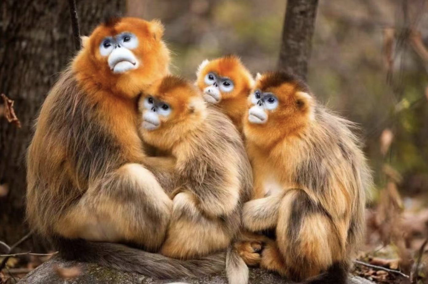 截屏2022-08-20 下午9.22.46.png