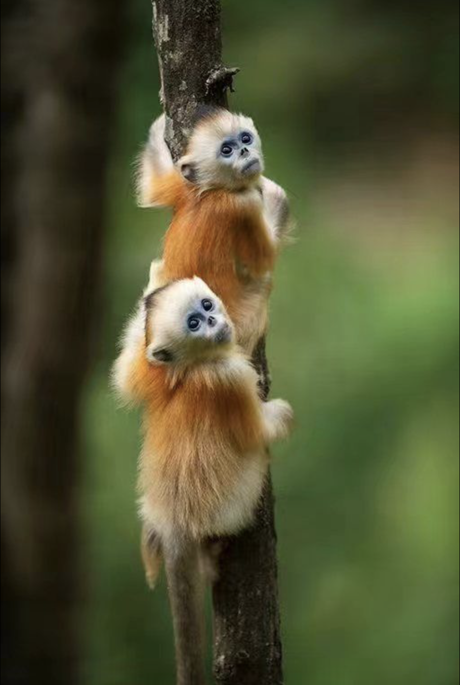 截屏2022-08-20 下午9.23.20.png