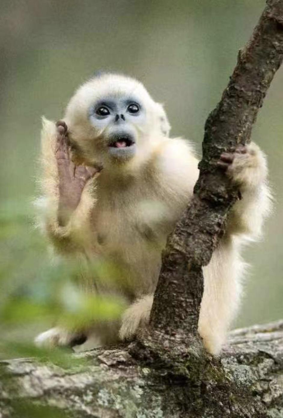 截屏2022-08-20 下午9.23.35.png