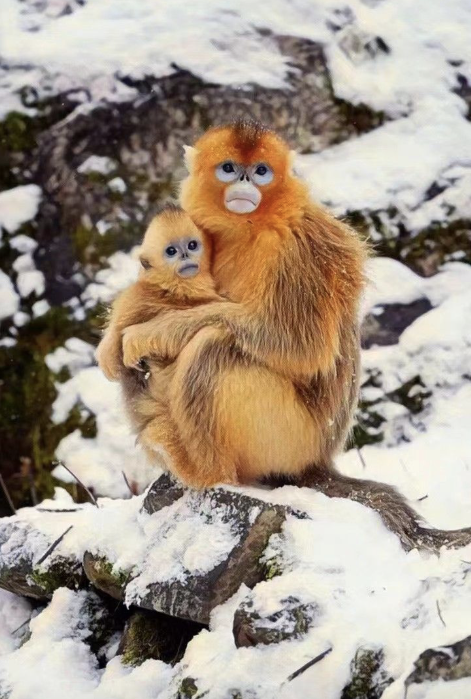 截屏2022-08-20 下午9.23.47.png