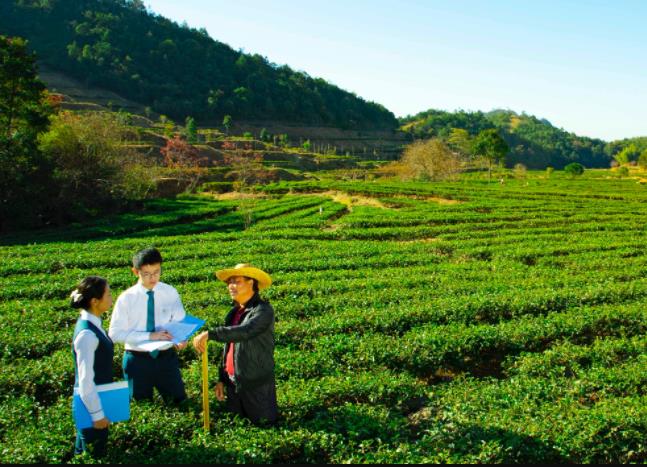 广州农商银行： “助企纾困”显地方金融主力军担当