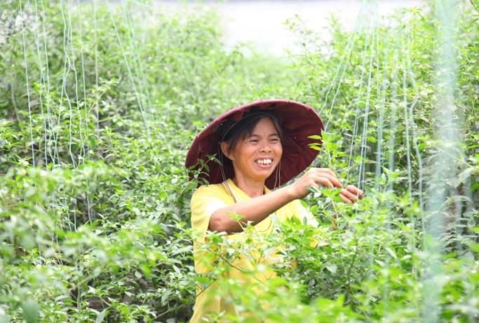 广州农商银行： “助企纾困”显地方金融主力军担当