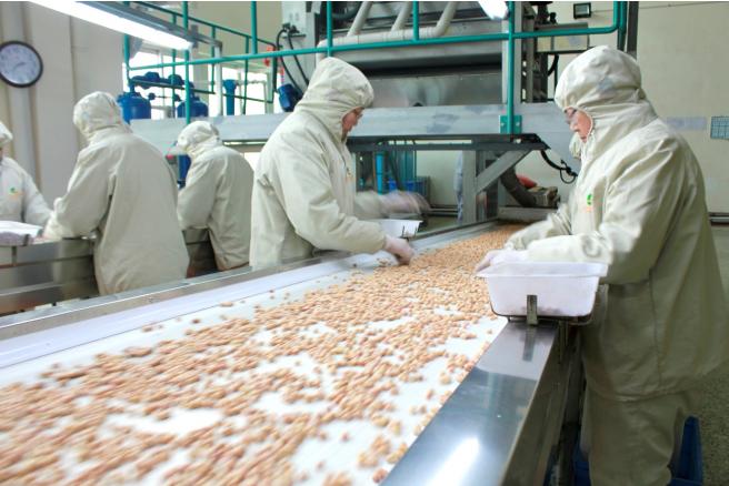 盛京银行： 聚焦特色农业集群 提供差异化服务