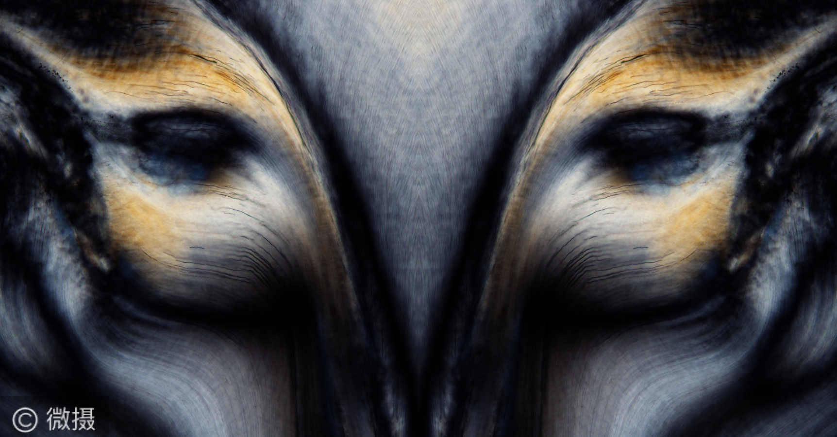 截屏2023-01-22 下午9.08.02.png