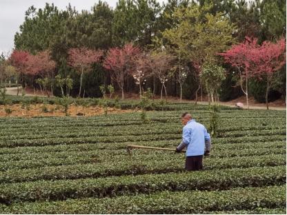 兴业银行：广引金融活水 灌溉“希望田野”