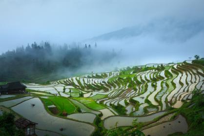 兴业银行：广引金融活水 灌溉“希望田野”