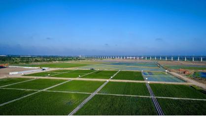 兴业银行：广引金融活水 灌溉“希望田野”