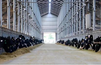 兴业银行：广引金融活水 灌溉“希望田野”