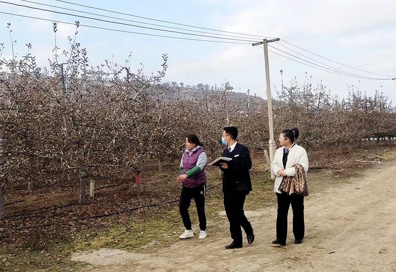 点击看大图 甘肃银行支农有力度:春耕备耕正当时 不负农时不负春