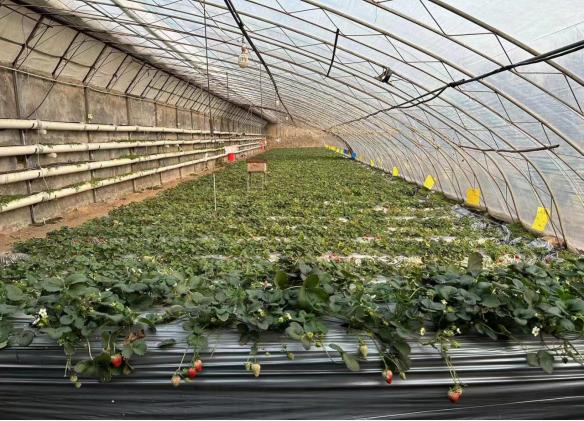 抢抓农时 万象“耕”新 北京农商银行吹响春耕备耕集结号