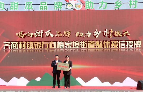  齐商村镇银行： “整村授信”助力乡村产业高质量发展