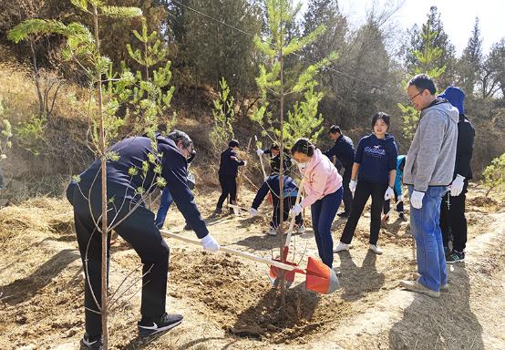 甘肃银行组织开展绿色公益植树活动