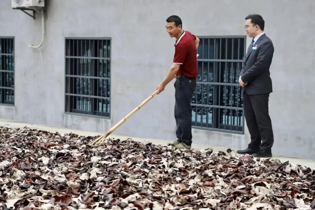 1686570824873513.jpg 640-2.jpg