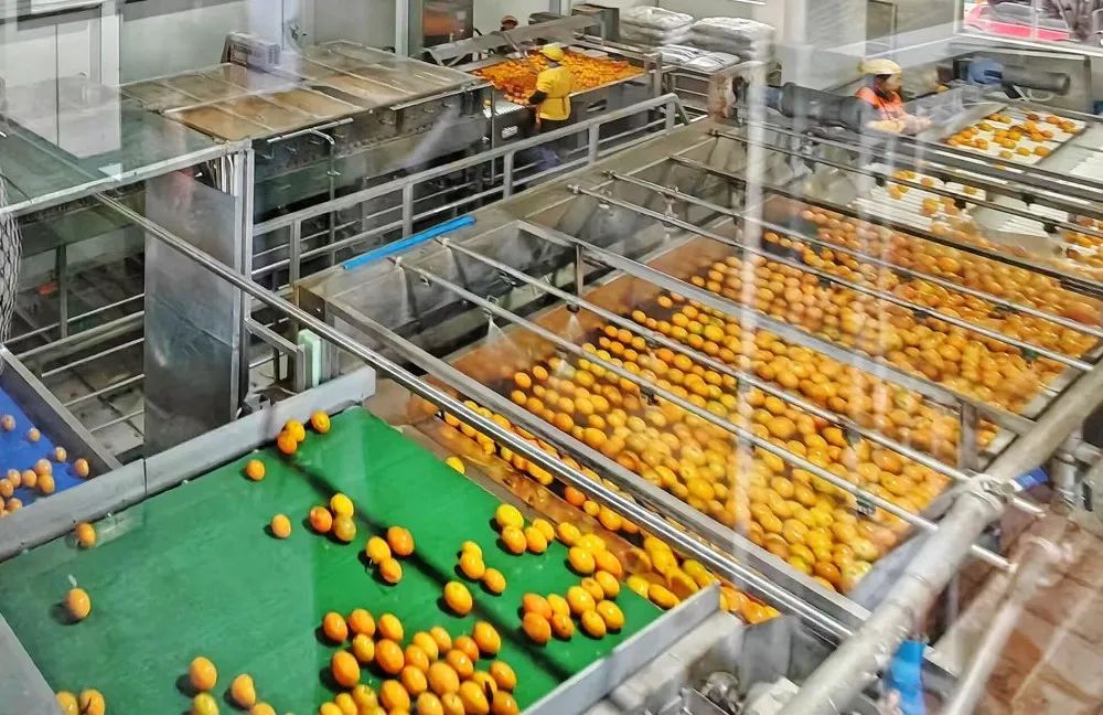 1688461558657056.jpg 640-1.jpg