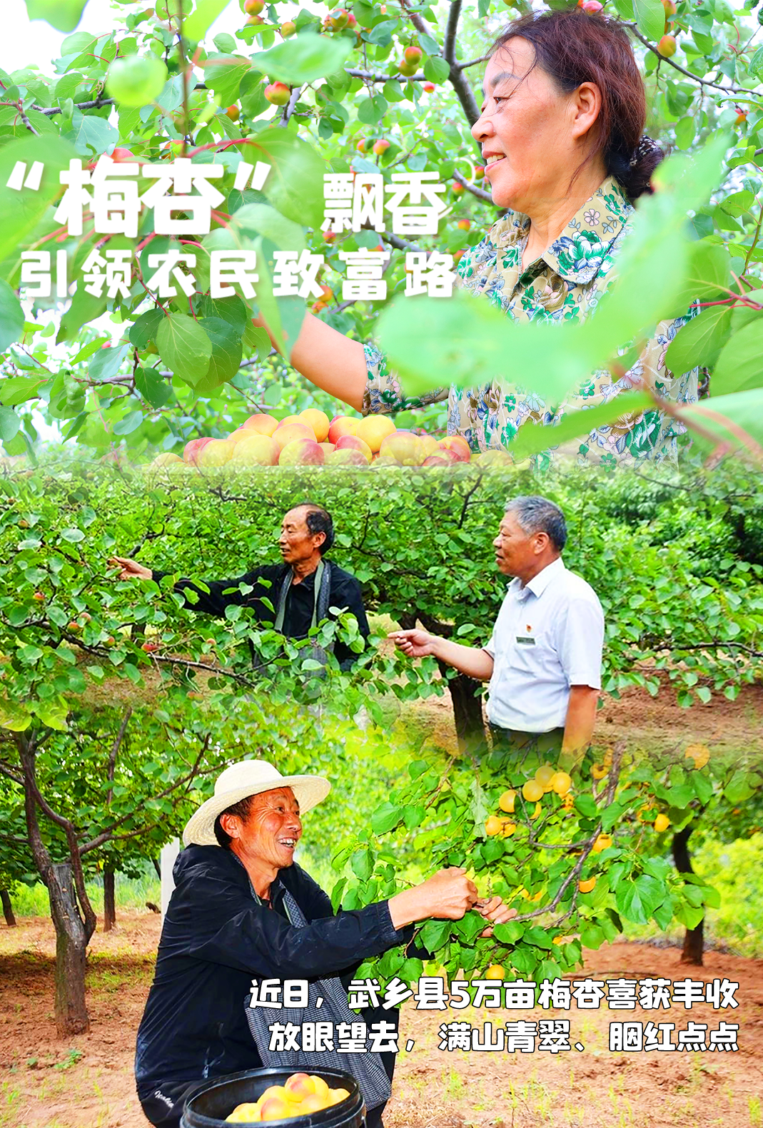 1689333074297381.png 640-1.png