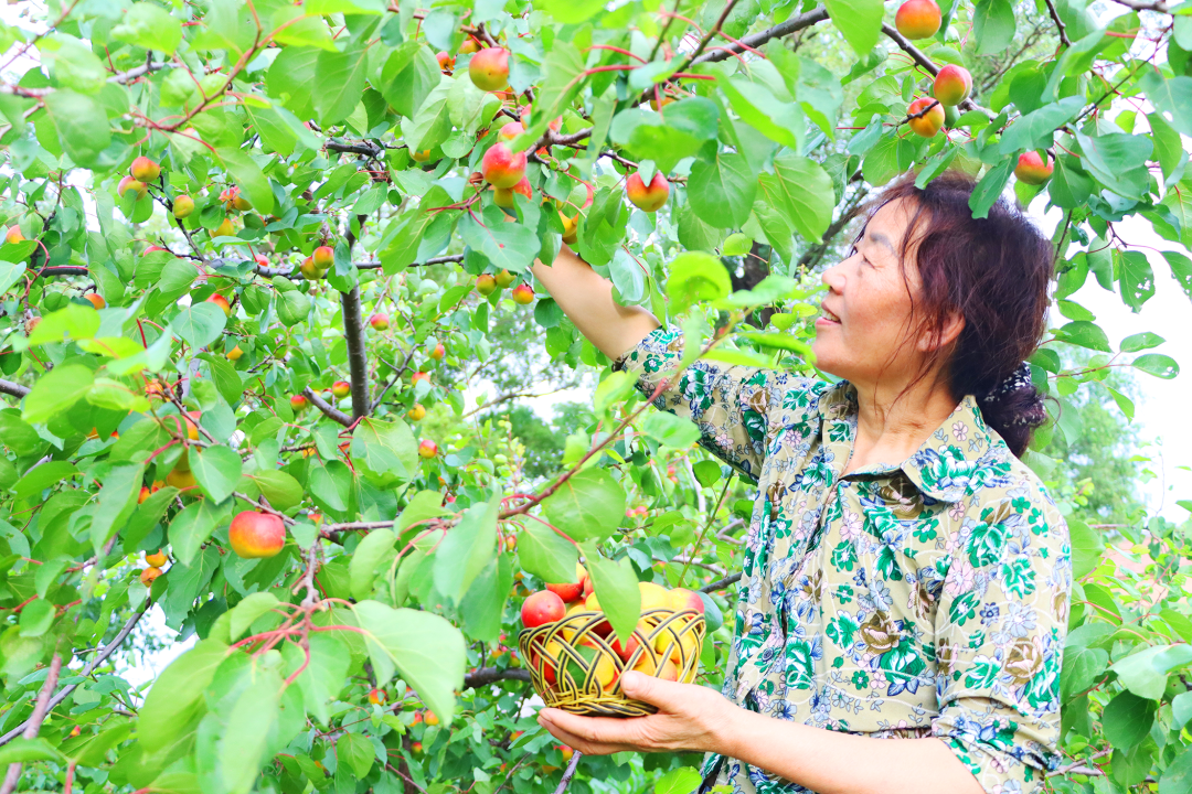 1689333152745508.png 640-2.png