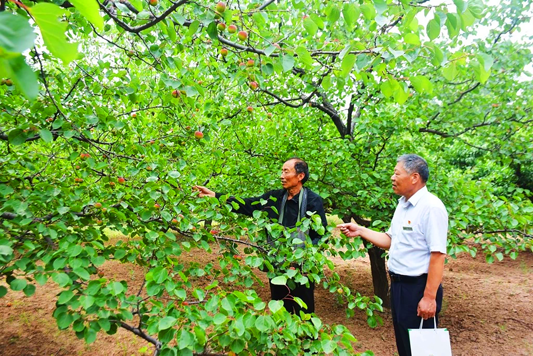 1689333243374107.png 640-4.png