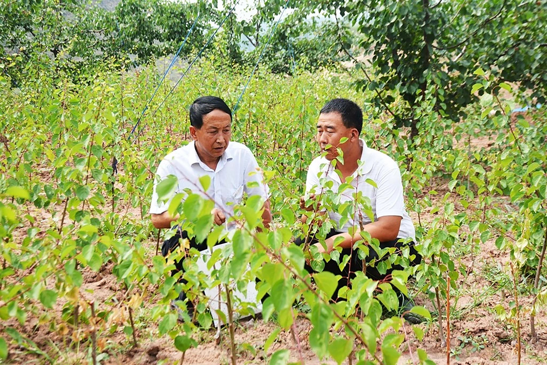 1689333282710652.png 640-5.png