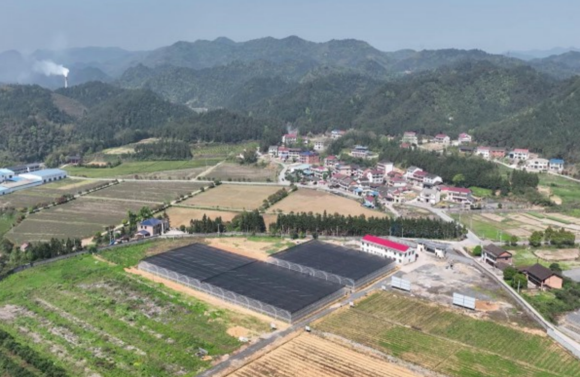 截屏2023-08-02 下午2.27.06.png