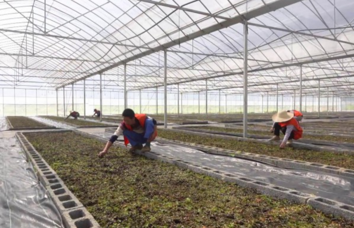 截屏2023-08-02 下午2.27.17.png