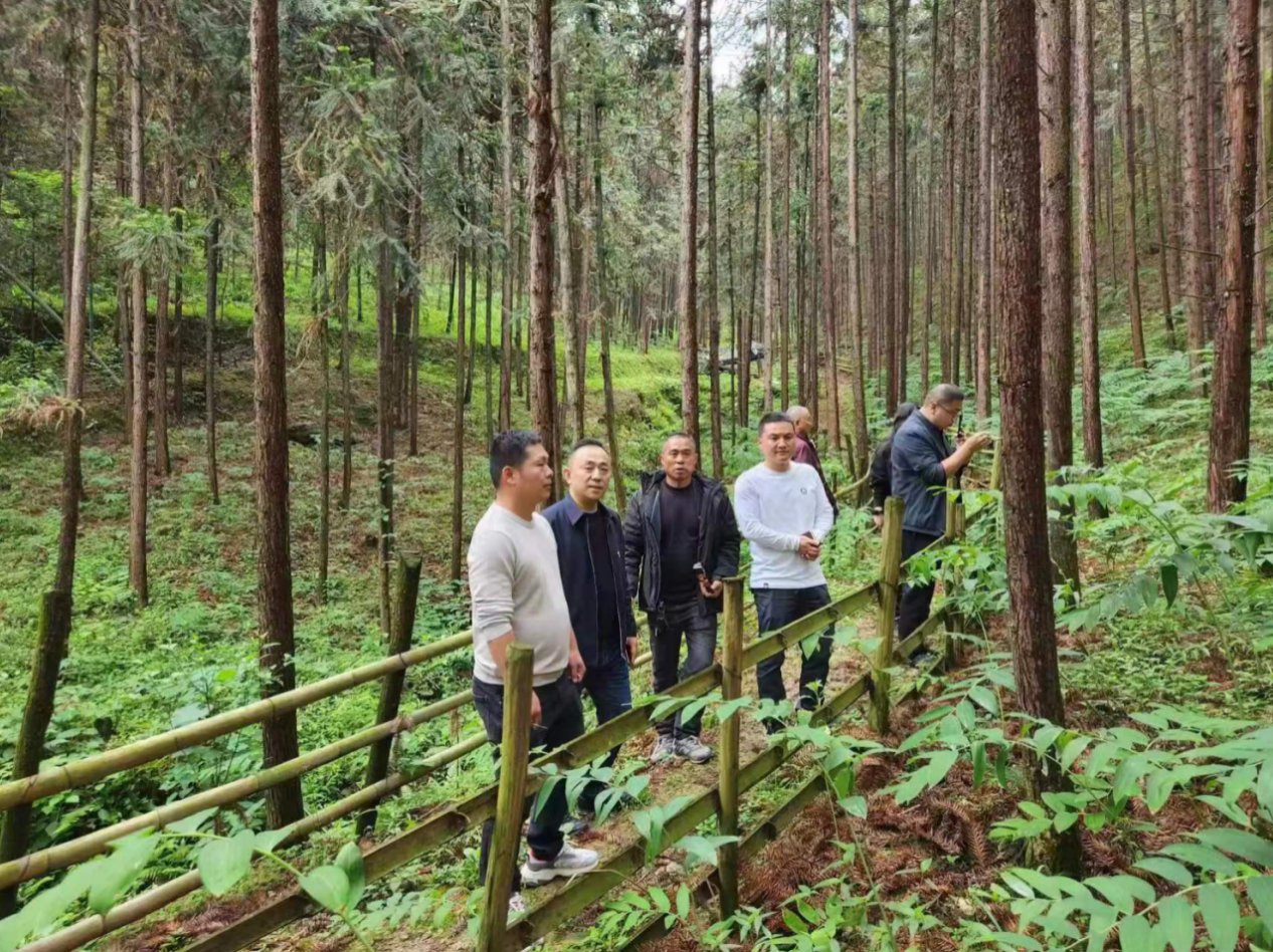 截屏2023-08-02 下午2.27.49.png