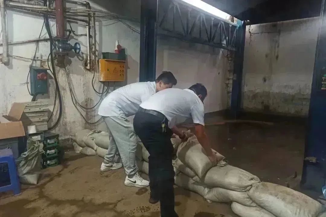 1691466928298123.jpg 640-3.jpg