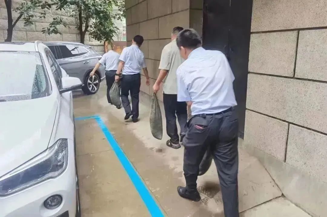 1691467006560691.jpg 640-5.jpg