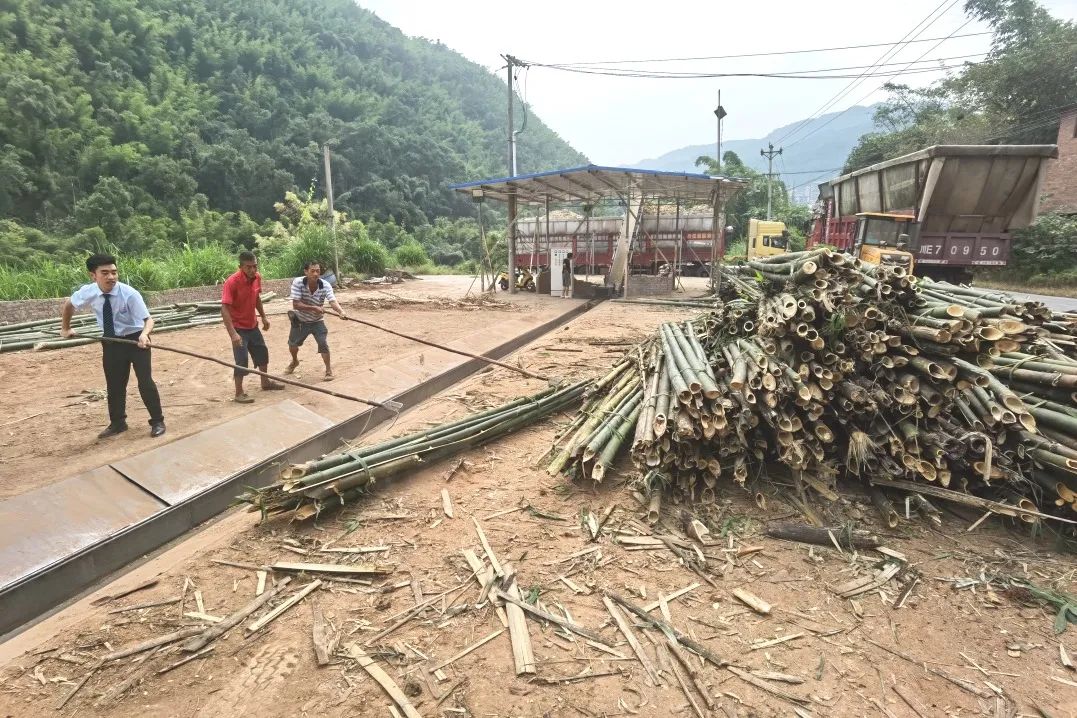 1696821489303581.jpg 640-4.jpg