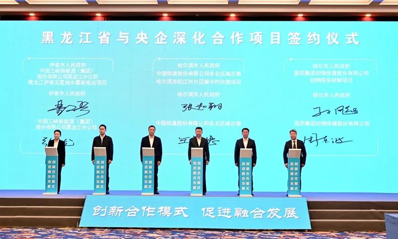 1703719935715631.jpg 640-2.jpg