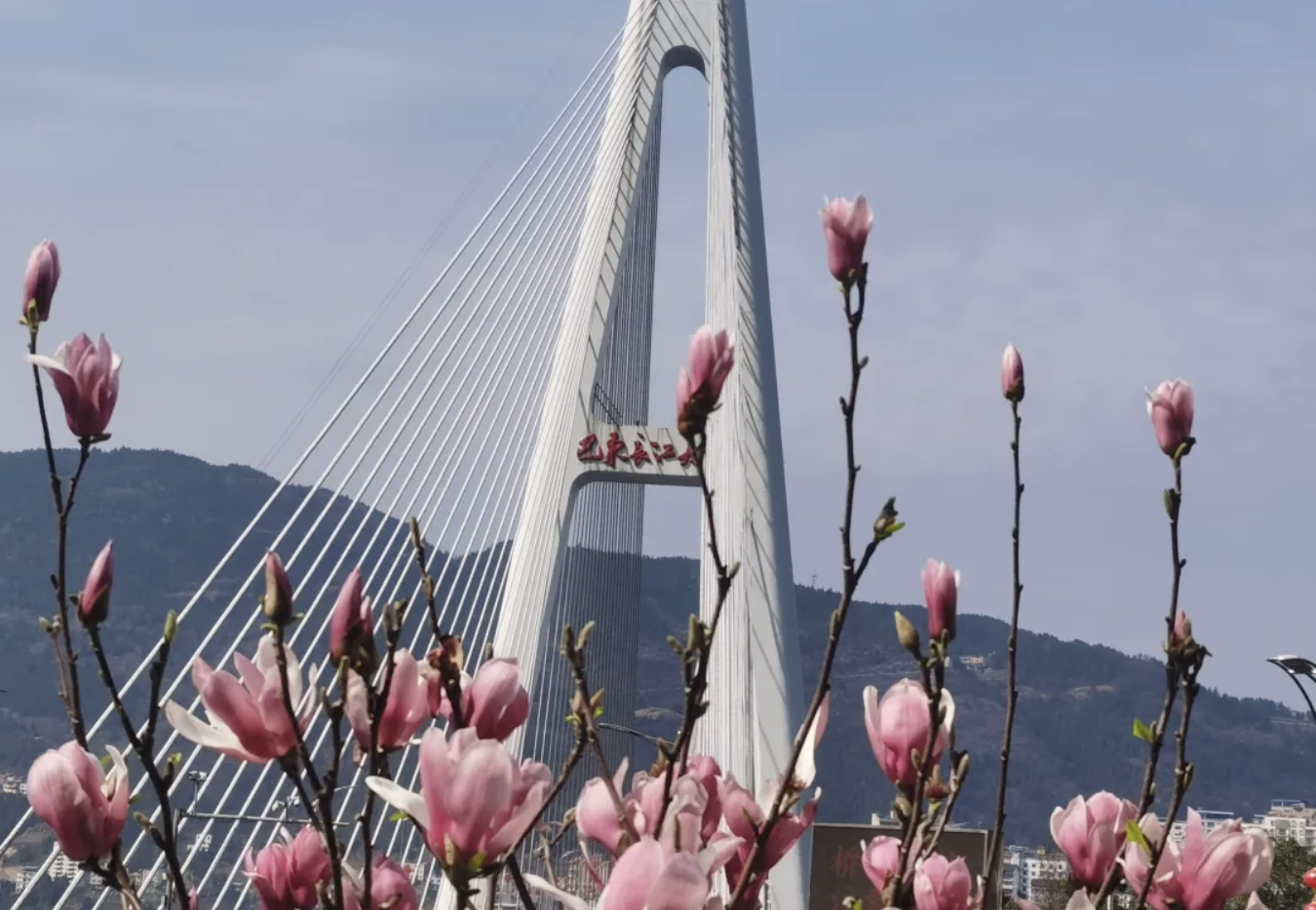 截屏2024-03-22 16.10.39.png